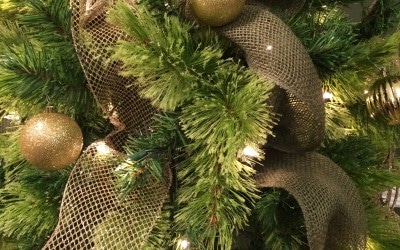 It’s That Time of Year Again…