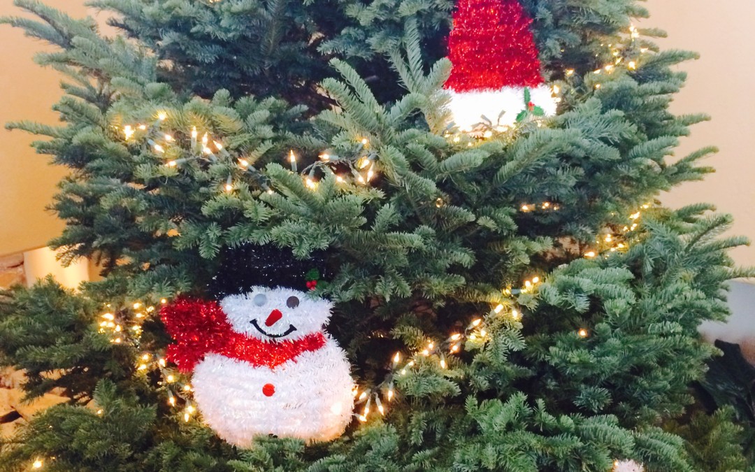 Christmas Cheer Challenge!