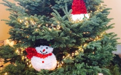 Christmas Cheer Challenge!